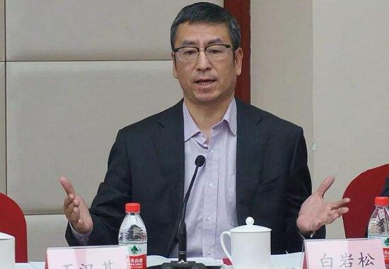 武漢“封城”效果是否明顯？上班后食堂集中用餐如何防護(hù)？白巖松連線